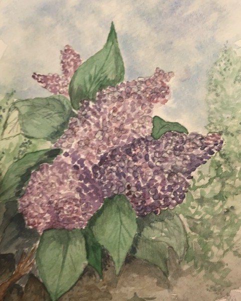 56997548939__26E9BCC0 3B62 4528 82F5 39EF331E371E.